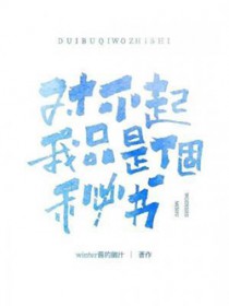 对不起，我只是个秘书