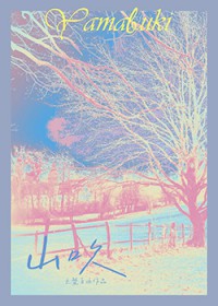 【银魂乙女】养猫记得先绝育